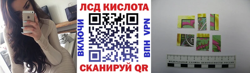 Наркотические марки 1,8мг  как найти наркотики  Нестеровская 