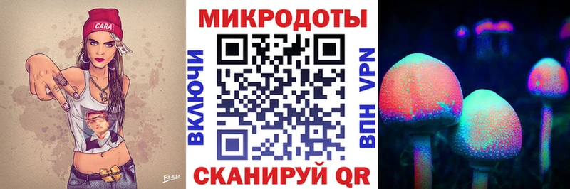 как найти закладки  Нестеровская  Галлюциногенные грибы GOLDEN TEACHER 